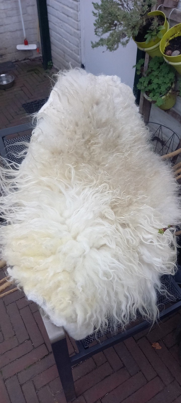 Gevilte vacht, Drents Heide schaap, 90x55cm, 55 cm, 90 cm, Wit, Verzenden