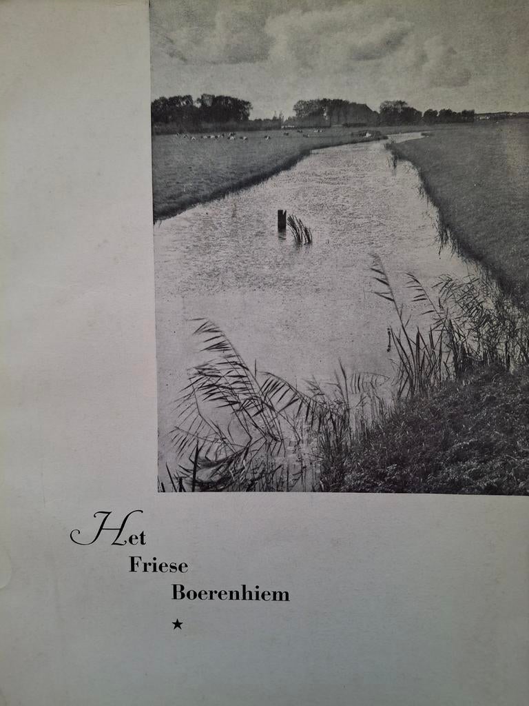 Het Friese boerehiem Gaasterland erfbeplanting boerderij, Ophalen of Verzenden, Gelezen