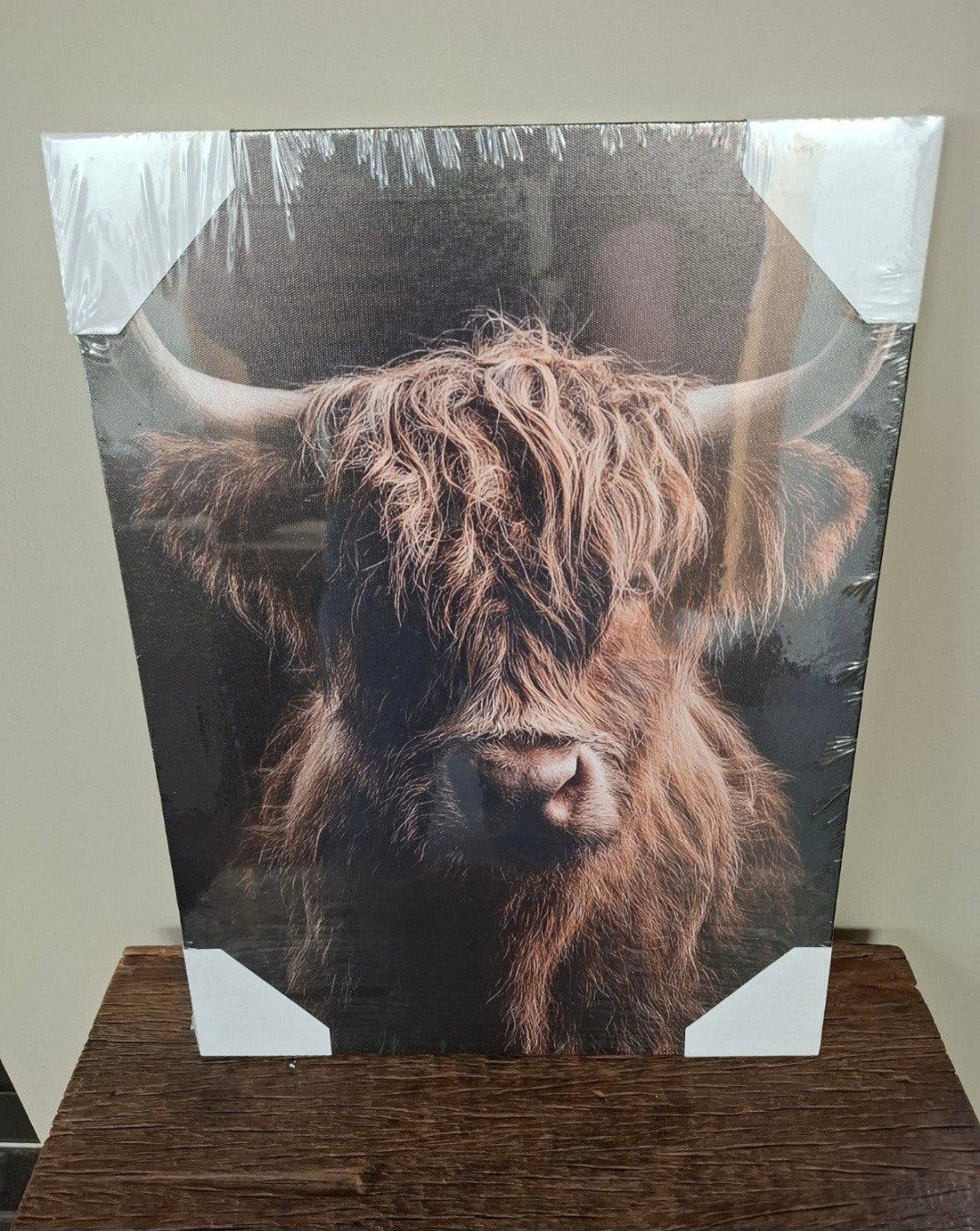 mooie canvas van hooglander (nieuw in verpakking), Ophalen of Verzenden, Nieuw
