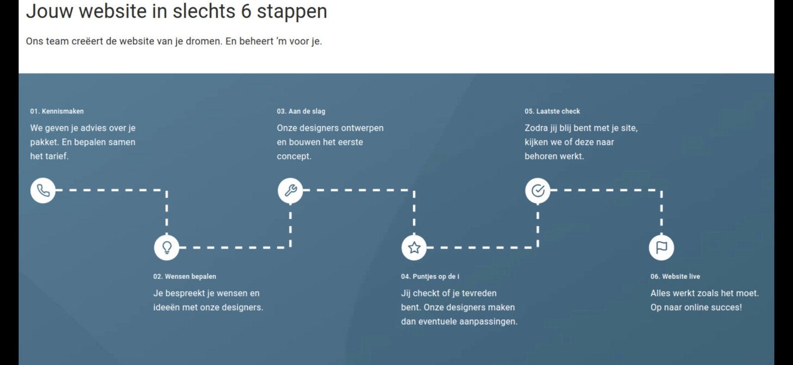 professionele website laten bouwen, Domeinnaam, Hosting, Ophalen of Verzenden, Nieuw