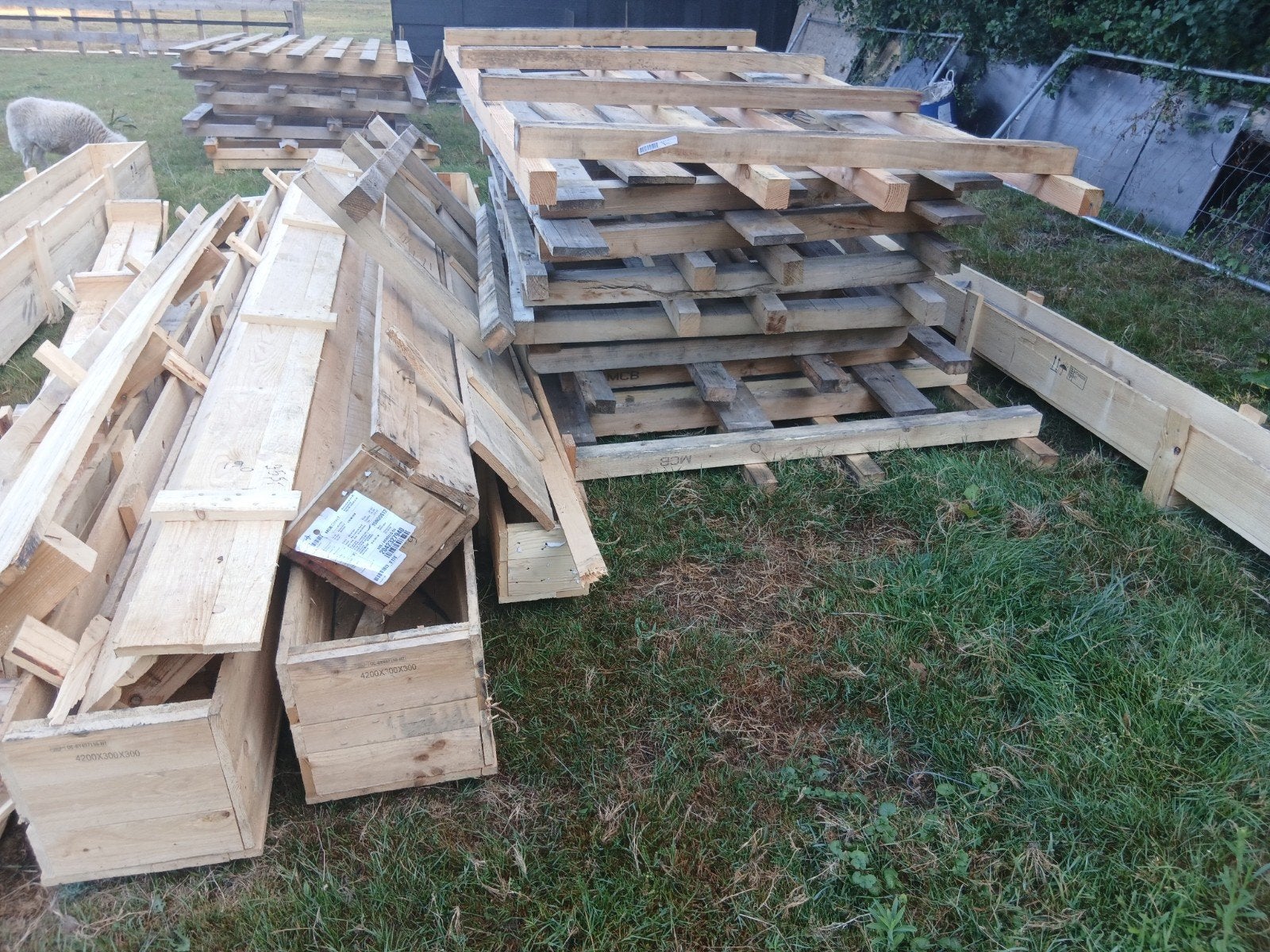 Diverse partij gebruikte pallets en houten planken, Gebruikt, 25 tot 50 mm, Ophalen of Verzenden, Plank