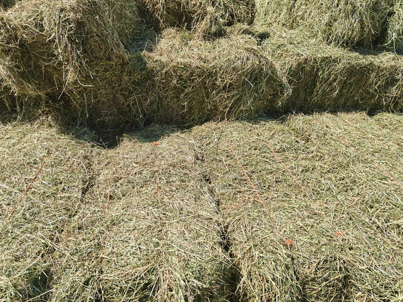 Kleine hooibalen te koop, Ophalen, Nieuw, Minder dan 10 m², Gras