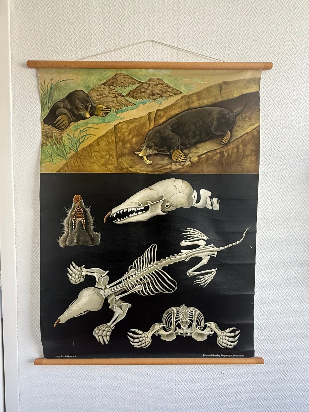 Vintage poster, Ophalen, Overige thema's