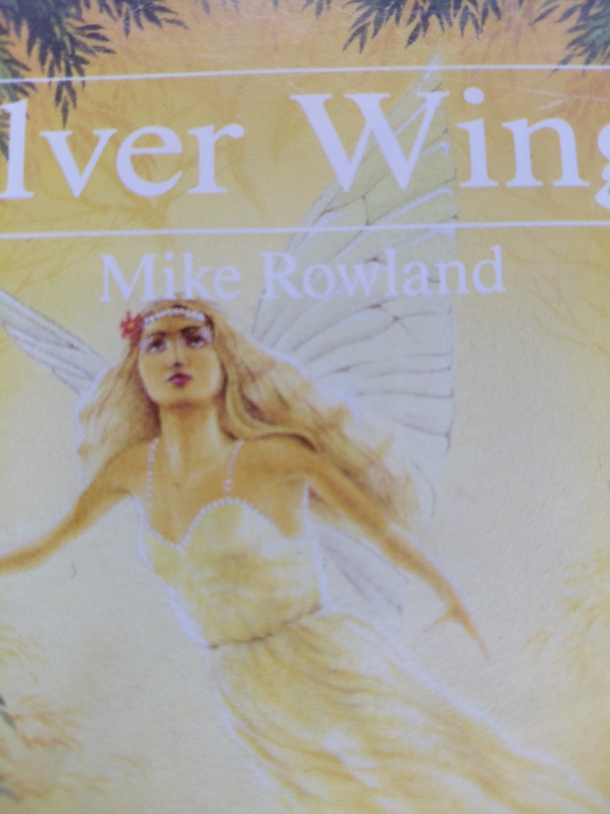 Mike Rowland - Silver Wings CD (New Age, Ontspanning), Ophalen of Verzenden, Gebruikt, Album