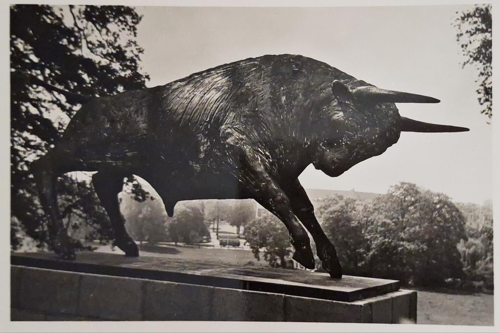 Fotokaart Arnhem - Sonsbeek - Beeld Stier, Ophalen of Verzenden, Ongelopen, Gelderland