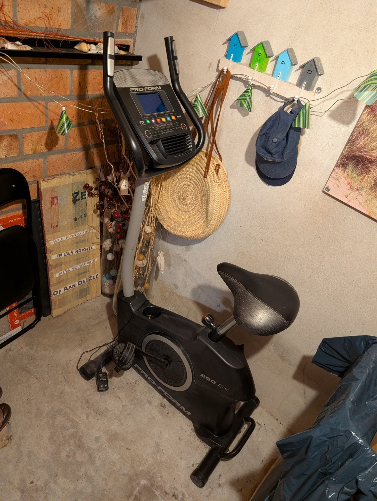 Hometrainer ProForm 250 CX - Perfect voor Thuisworkouts, Ophalen, Zo goed als nieuw, Metaal, Benen