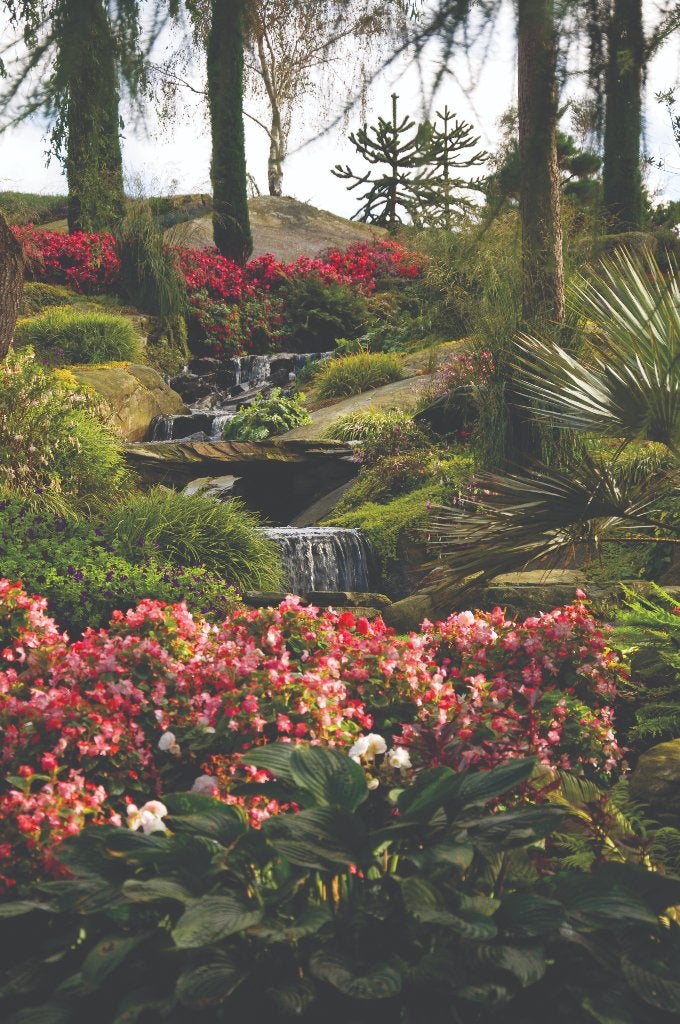 Tuinposter 200 x 133 cm (h x br.), Verzenden, Nieuw
