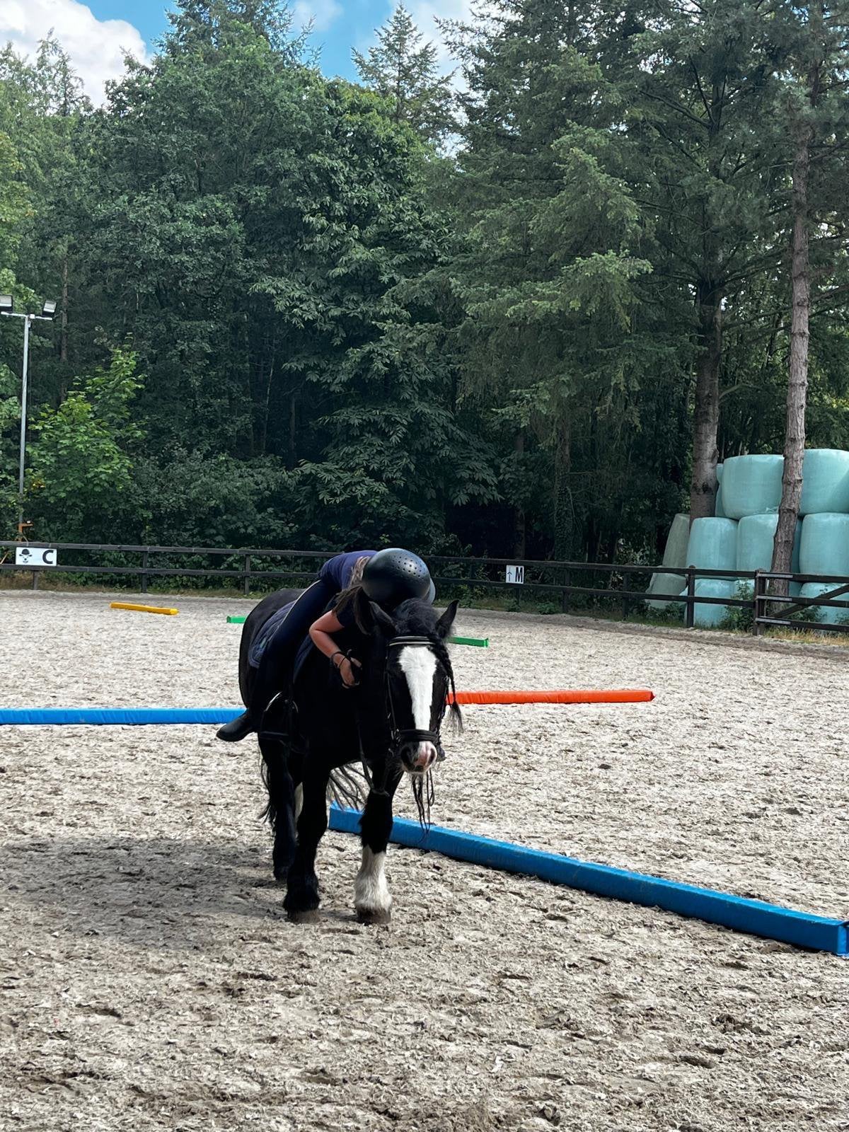 Verzorgpony gezocht; meisje 11 jaar met ervaring, Ophalen, Nieuw