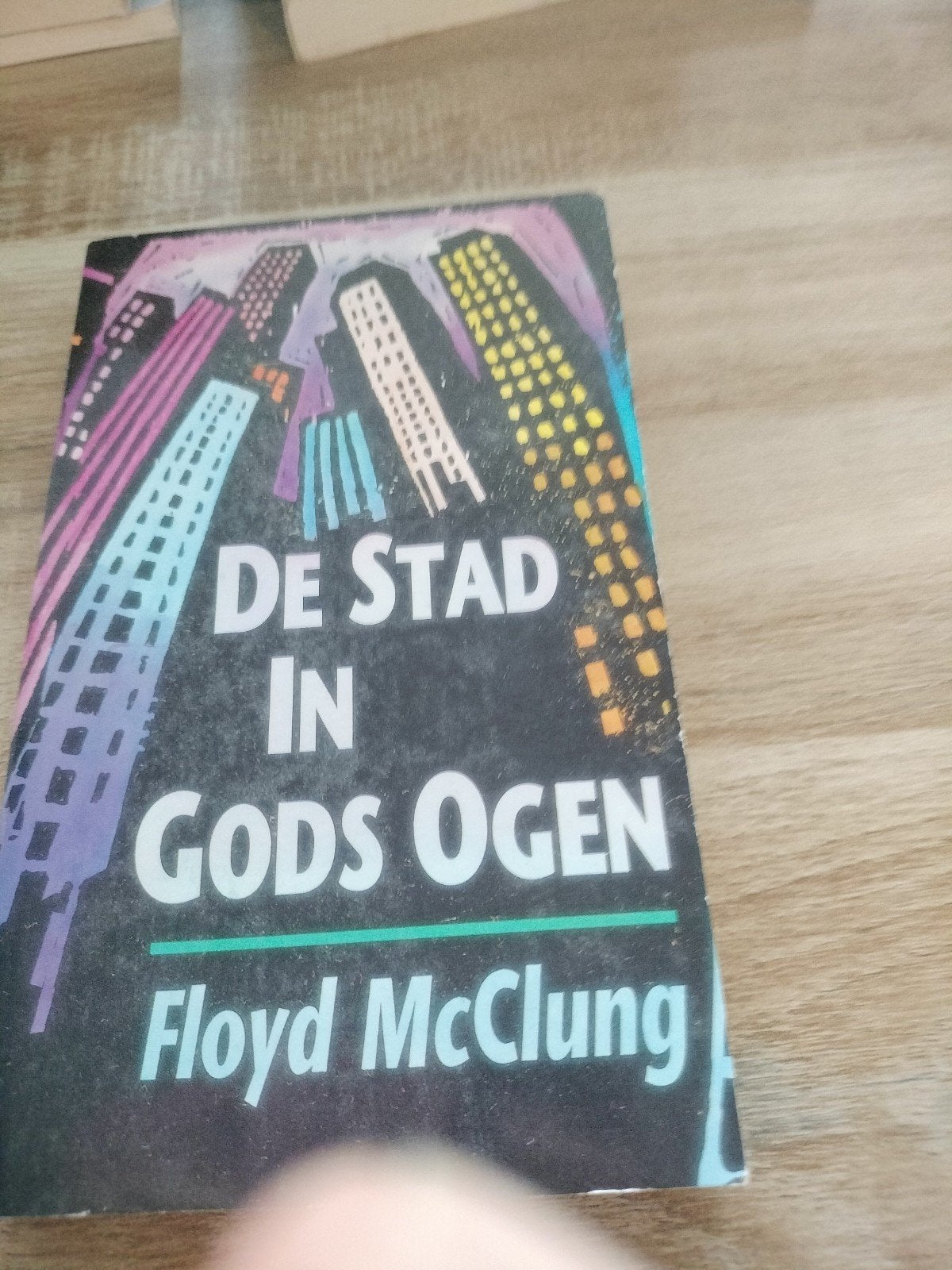 De Stad In Gods Ogen - Floyd McClung (Christelijk boek), Ophalen of Verzenden, Gelezen, Floyd McClung, Christendom | Protestants