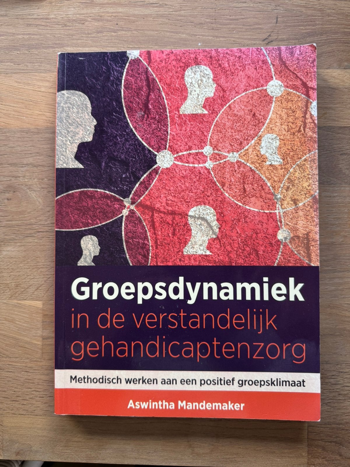 Groepsdynamiek in de verstandelijke gehandicaptenzorg, Ophalen of Verzenden, Beta, Zo goed als nieuw, HBO