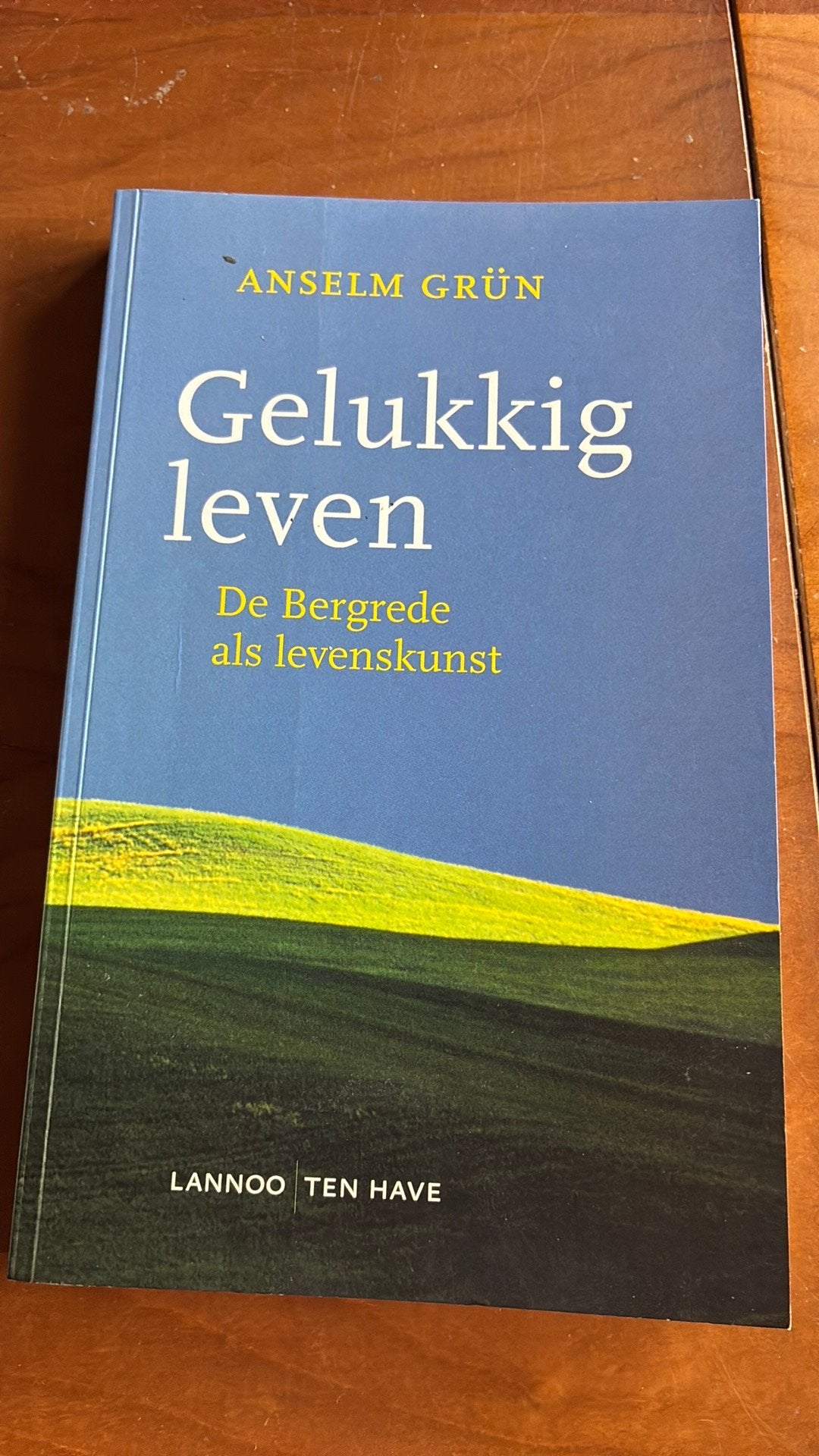 Anselm Grün - Gelukkig leven, Boeken, Achtergrond en Informatie, Spiritualiteit algemeen, Ophalen of Verzenden, Anselm Grün