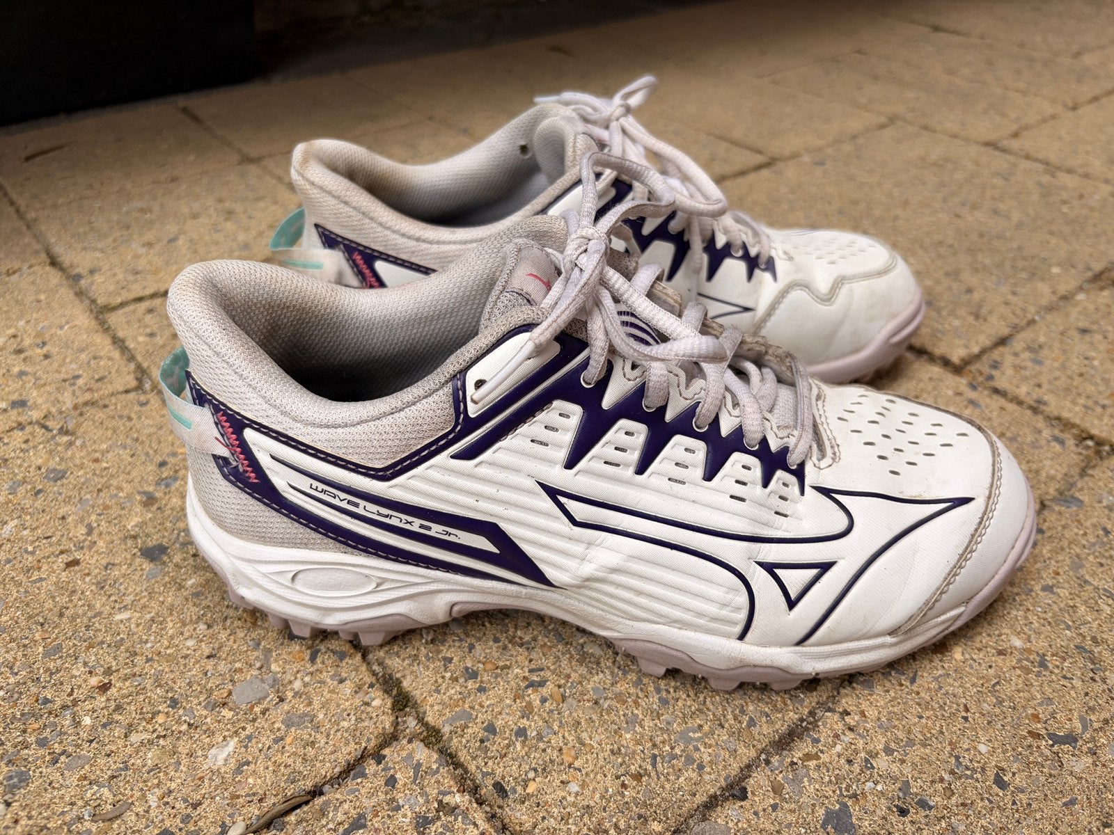 Mizuno Wave Lynx 2 Hockeyschoenen - 38, Sport en Fitness, Hockey, Ophalen of Verzenden, Gebruikt, Schoenen