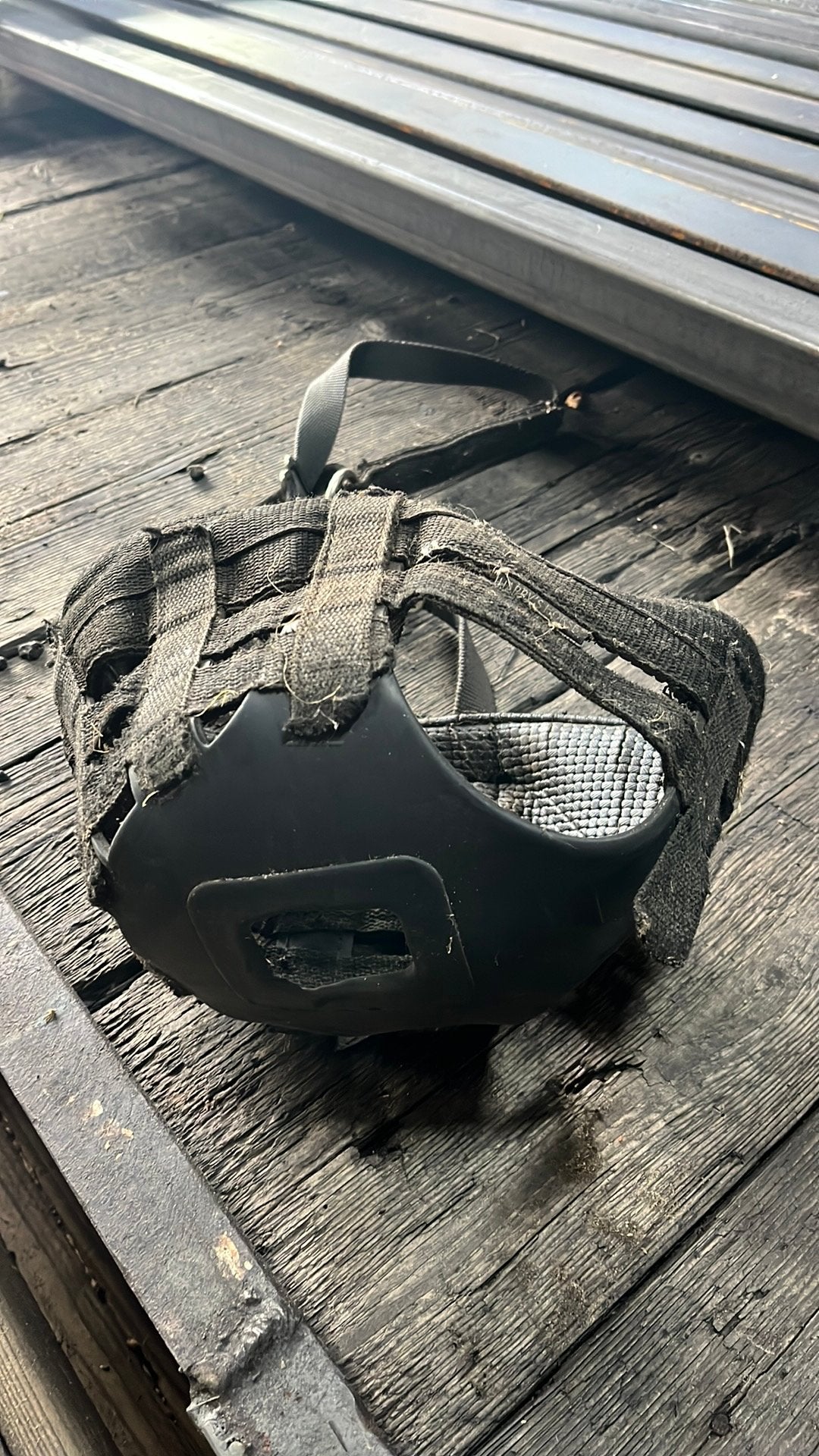 Twee graadmaskers voor haflinger, Ophalen of Verzenden, Zo goed als nieuw, Overige soorten