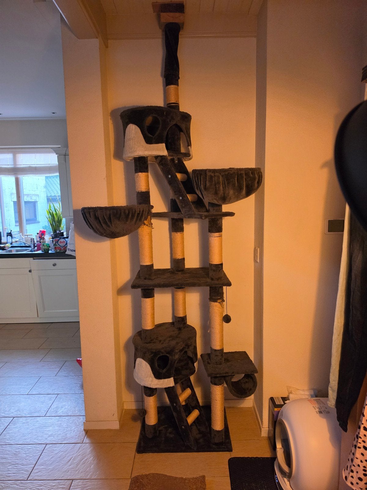 GRATIS Tectake kattenkrabpaal (Hansi), Dieren en Toebehoren, Ophalen, Gebruikt
