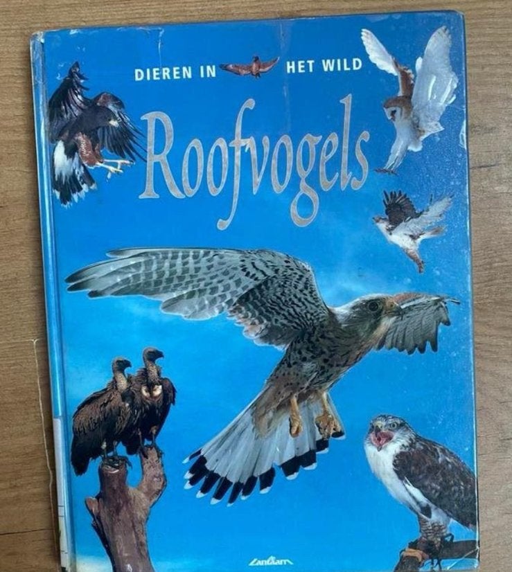 Roofvogels - R. Kerrod, Ophalen of Verzenden, Gelezen, Vogels