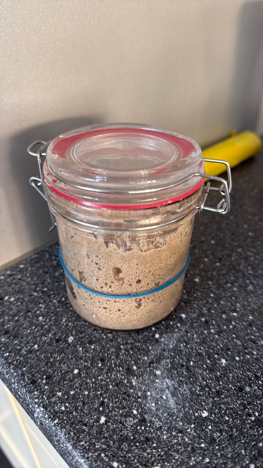 Zuurdesem starter (volkoren roggemeel), Diversen, Ophalen