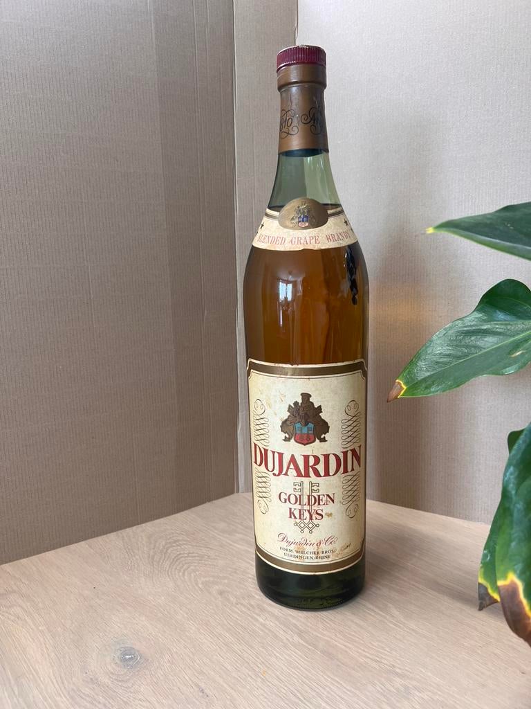 Dujardin brandy 3liter golden keys, Ophalen of Verzenden, Zo goed als nieuw, Frankrijk, Champagne