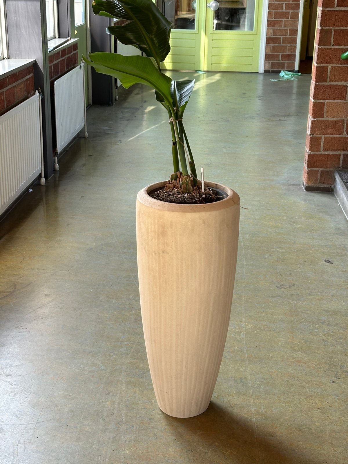grote plantpot 35x80cm, Tuin en Terras, Ophalen, Zo goed als nieuw, Rond, Kunststof