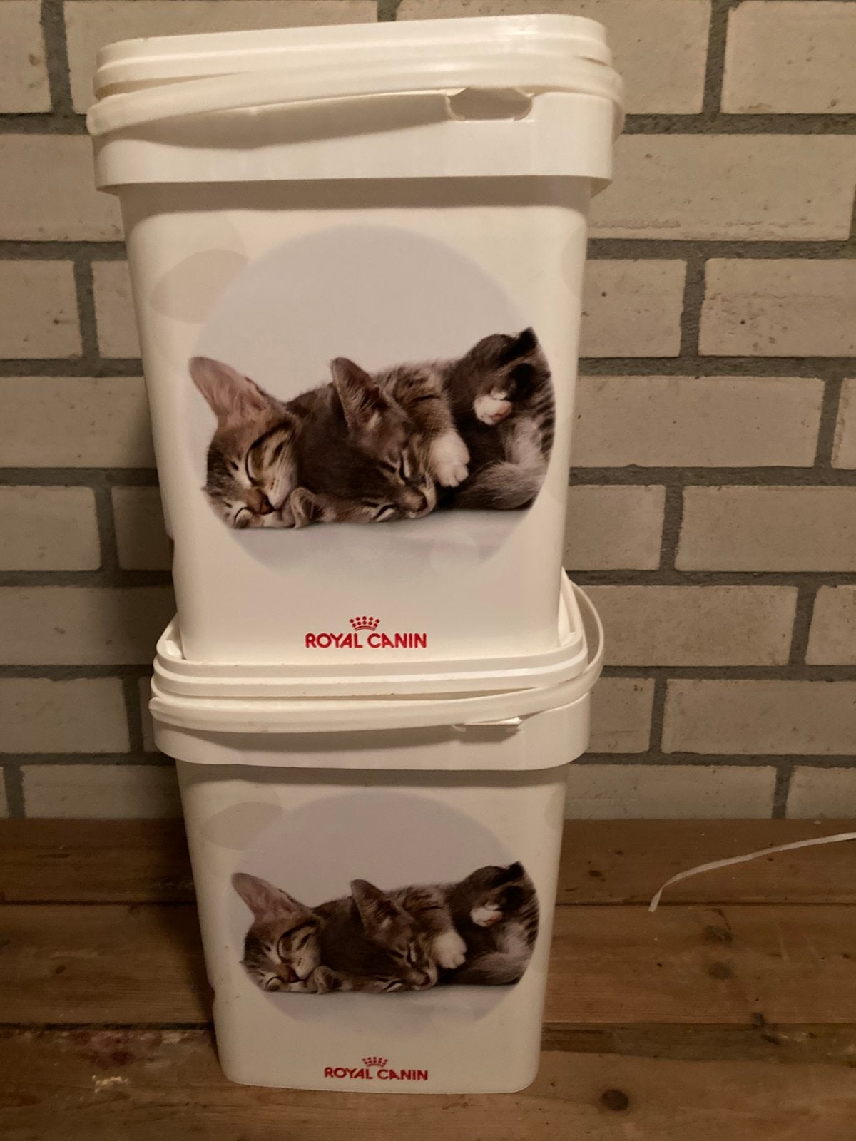 Royal canin opbergdozen, Ophalen of Verzenden, Hond
