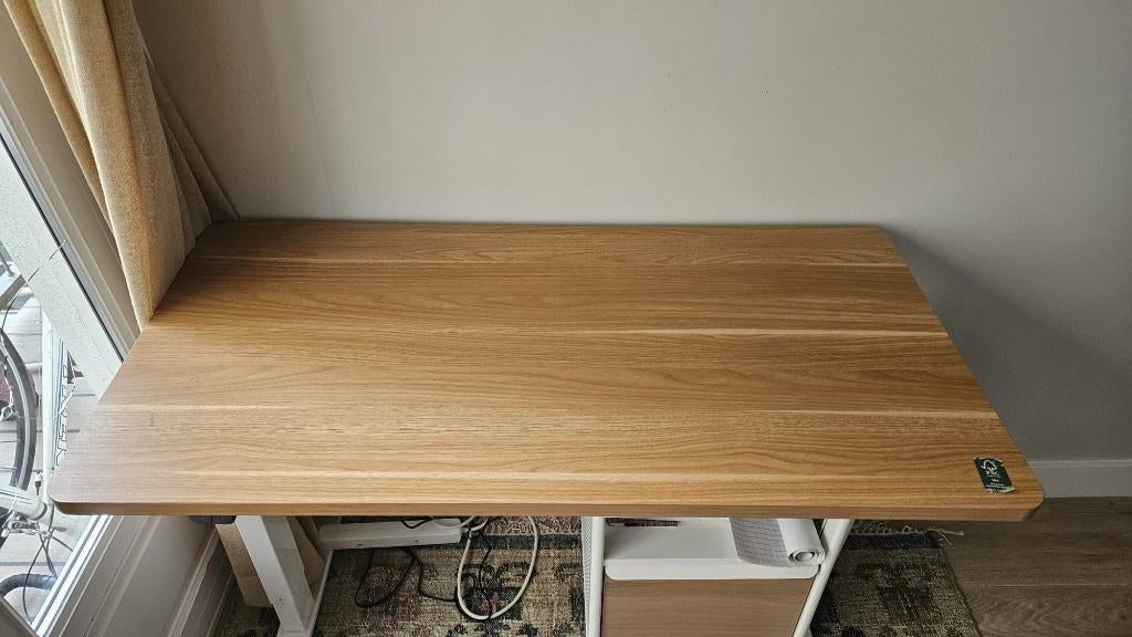 Flexispot EG1 Electric Standing Desk + FREE Sit-Stand Mat, Ophalen, Zit-sta bureau, 120 cm, Hout