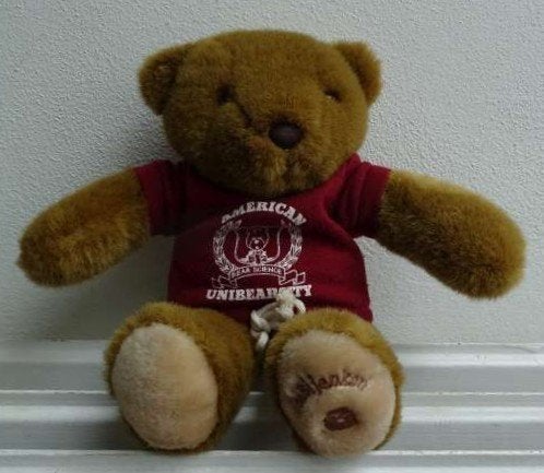 Bob de Beer van de Bijenkorf Amerian Unibearsity 35 cm, Overige merken, Overige karakters, Beer, Ophalen of Verzenden