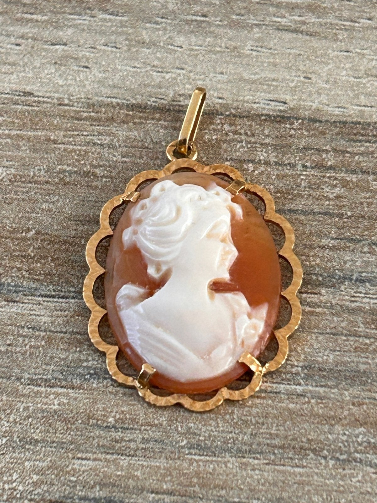 Gouden hanger-Schelpcamee, Verzenden, Zo goed als nieuw, Bruin, Goud