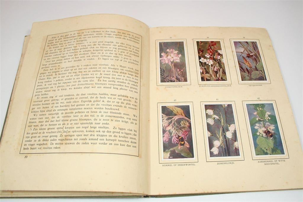 Bonte Wei — Jac. P. Thijsse — Verkade Album Compleet [1911], Boeken, Ophalen of Verzenden, Gelezen