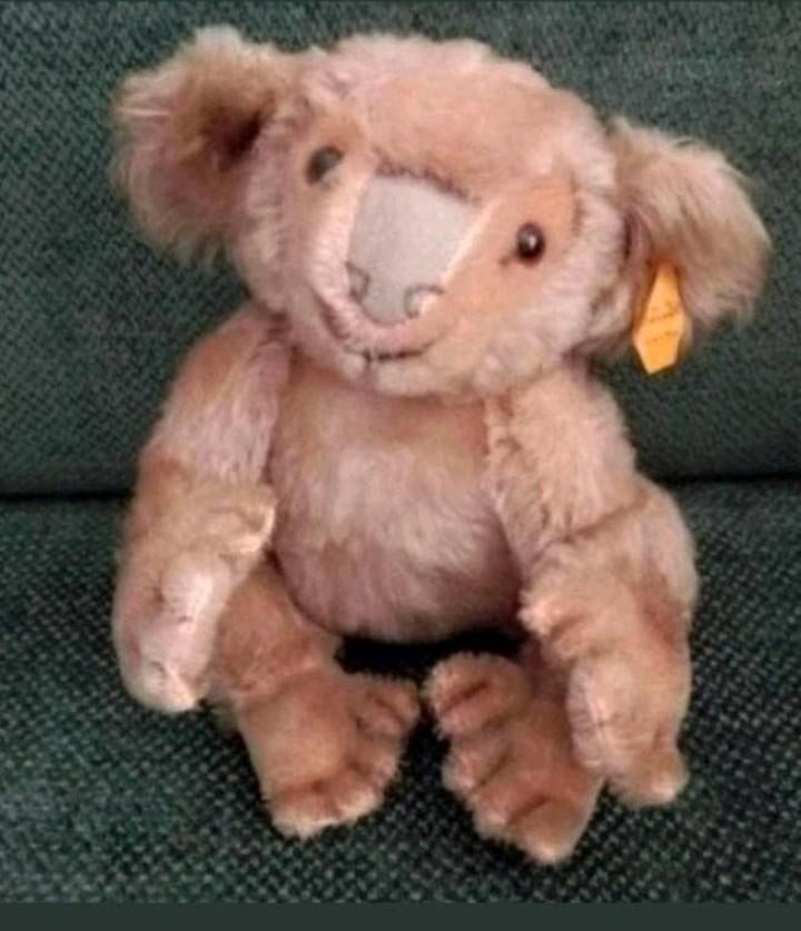 Oude steiff koala beer bear 22cm vintage zeldzaam, Verzamelen, Beren en Cherished Teddies, Ophalen, Stoffen beer, Steiff