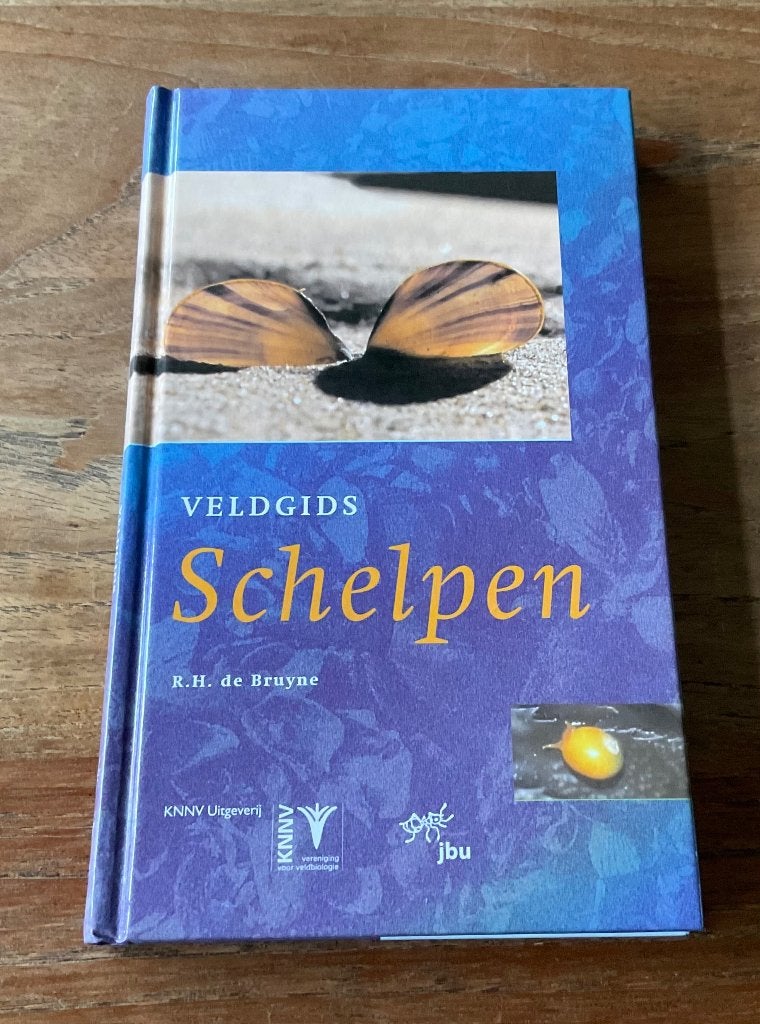 veldgids schelpen KNNV 252 soorten kust NL en Belgie strand, Boeken, Ophalen of Verzenden, Nieuw, Overige onderwerpen