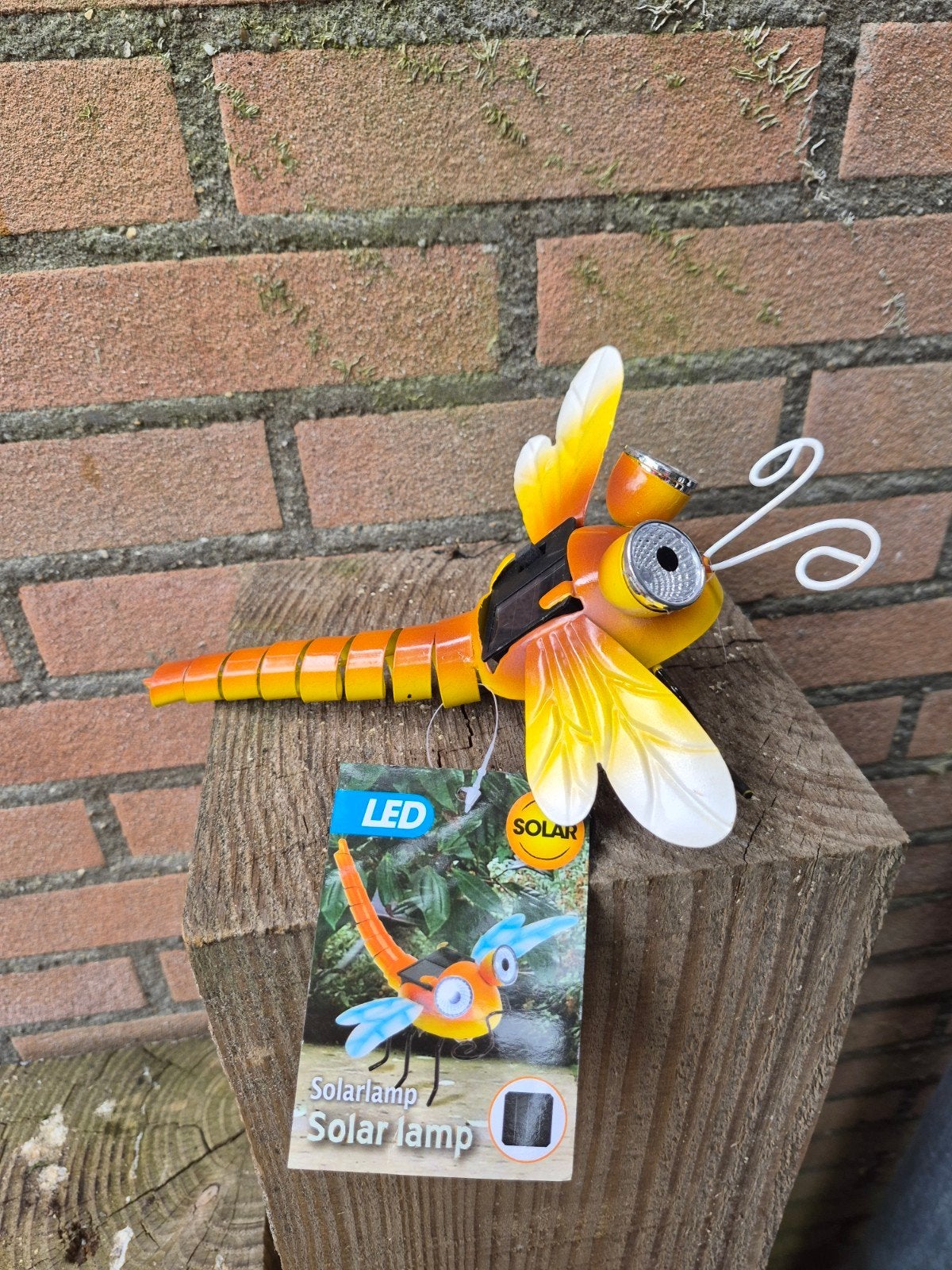 LED Solar Tuinlamp Libelle Metaal - Nieuw, Ophalen of Verzenden, Nieuw