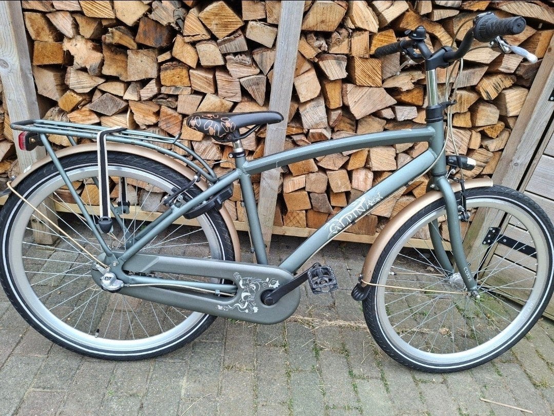 Alpina jongensfiets 26 inch - Goed onderhouden, Minder dan 49 cm, Ophalen of Verzenden, Gebruikt, Overige merken