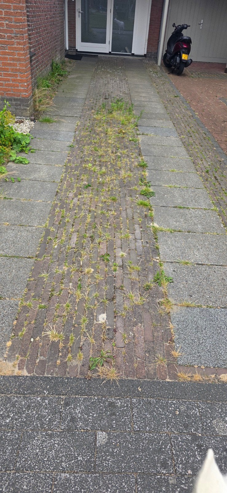 Gratis: Betontegels 60x40cm - 50 stuks, Tuin en Terras, Ophalen, Gebruikt, 10 m² of meer, Beton