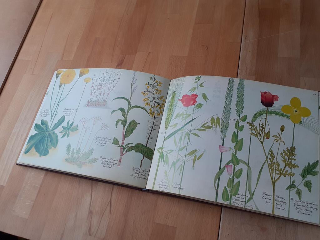 Bloemenboek met klassieke illustraties, Ophalen of Verzenden