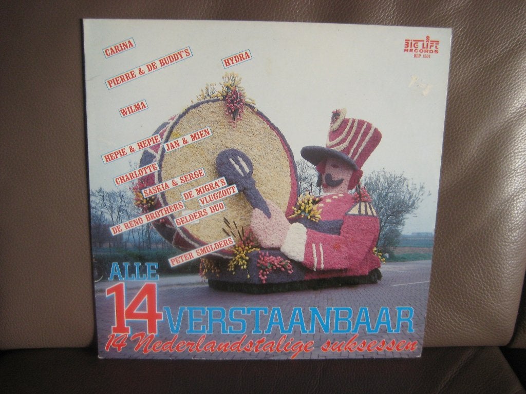 Alle 14 Verstaanbaar - 14 Nederlandstalige Suksessen, Ophalen of Verzenden, Zo goed als nieuw, 12 inch, Levenslied of Smartlap