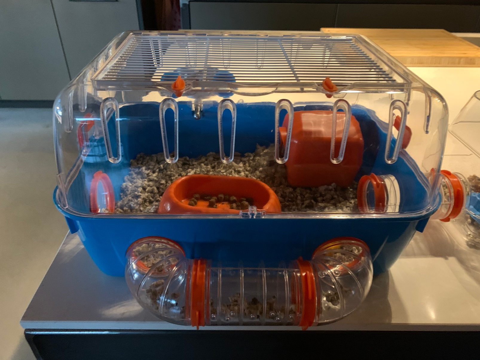 Jonge hamster met  hok, voer, alle spullen om te verschonen, Dieren en Toebehoren, Hamster, Augustus, Mannelijk, Tam