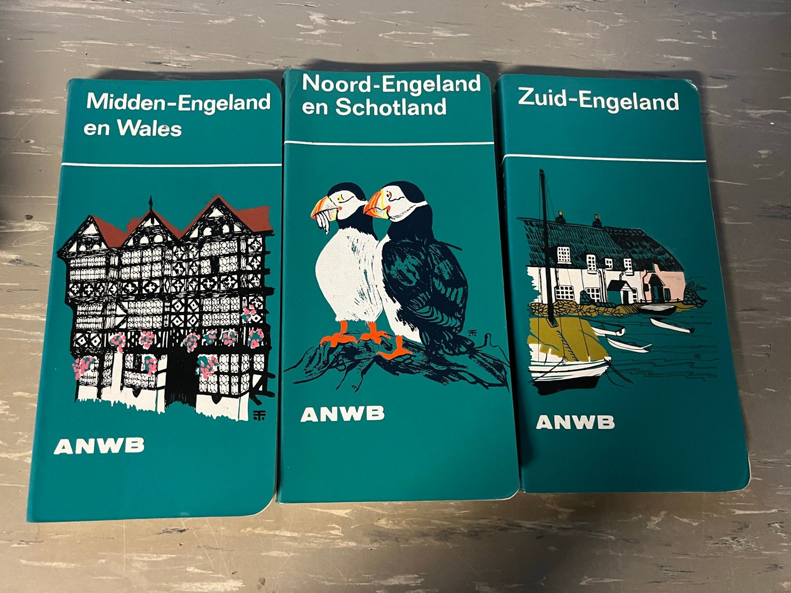 ANWB Reisgidsen Engeland en Schotland (3 delen), Gelezen, Europa, Ophalen of Verzenden, Reisgids of -boek