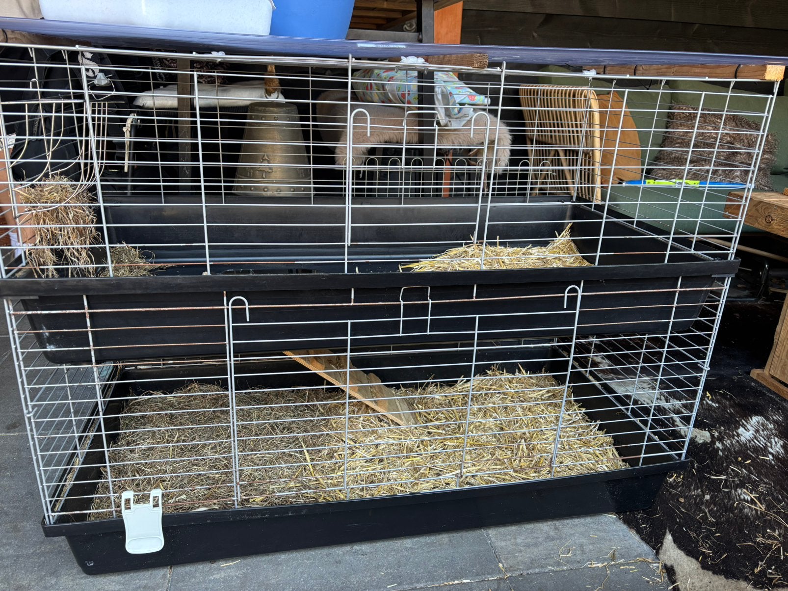 Konijen hok, Dieren en Toebehoren, Konijnen, Vrouwelijk, Groot