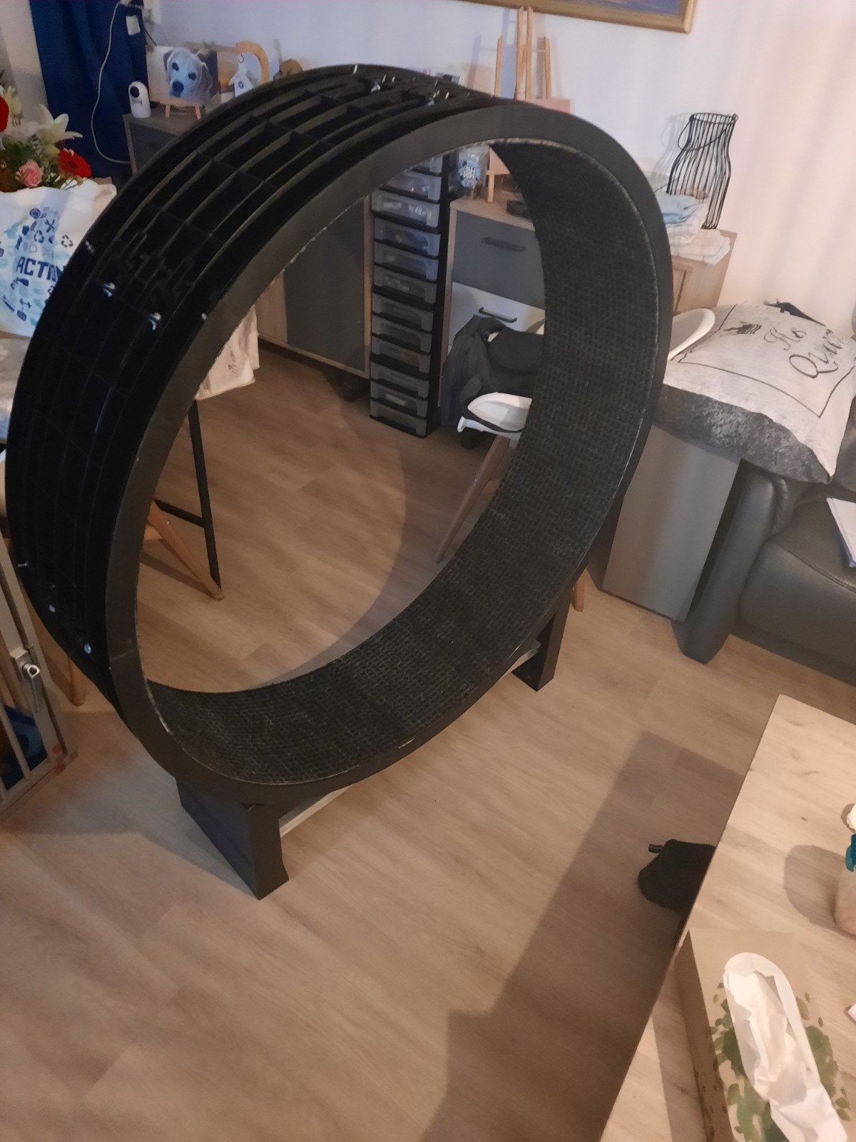 Katten Loop rat  zie foto's, Ophalen