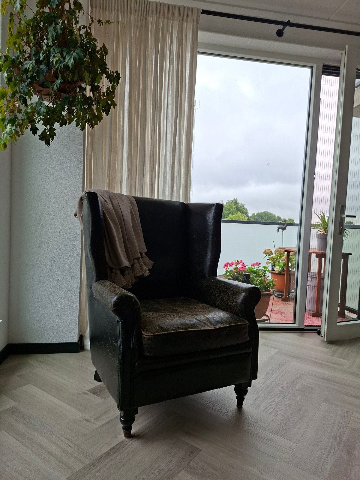 Rofra Vintage zwart generfd rundlederen oorfauteuil, Ophalen, Eenpersoons, Zo goed als nieuw, Leer