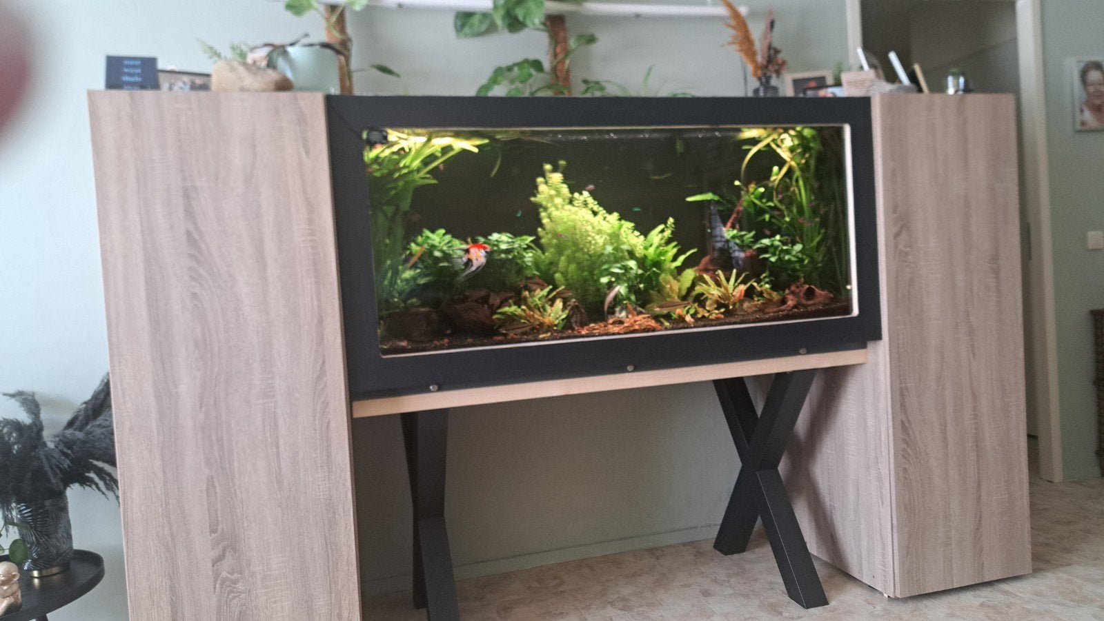 Complete Aquarium inhoud te koop., Ophalen, Gebruikt, Plant(en), Steen of Hout, Overige merken