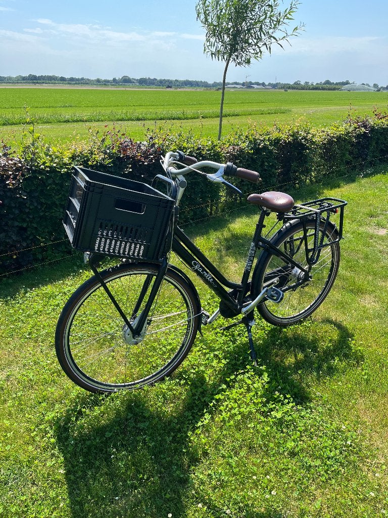Gazelle miss grace, Ophalen, Gazelle, Trommelrem, 53 tot 56 cm