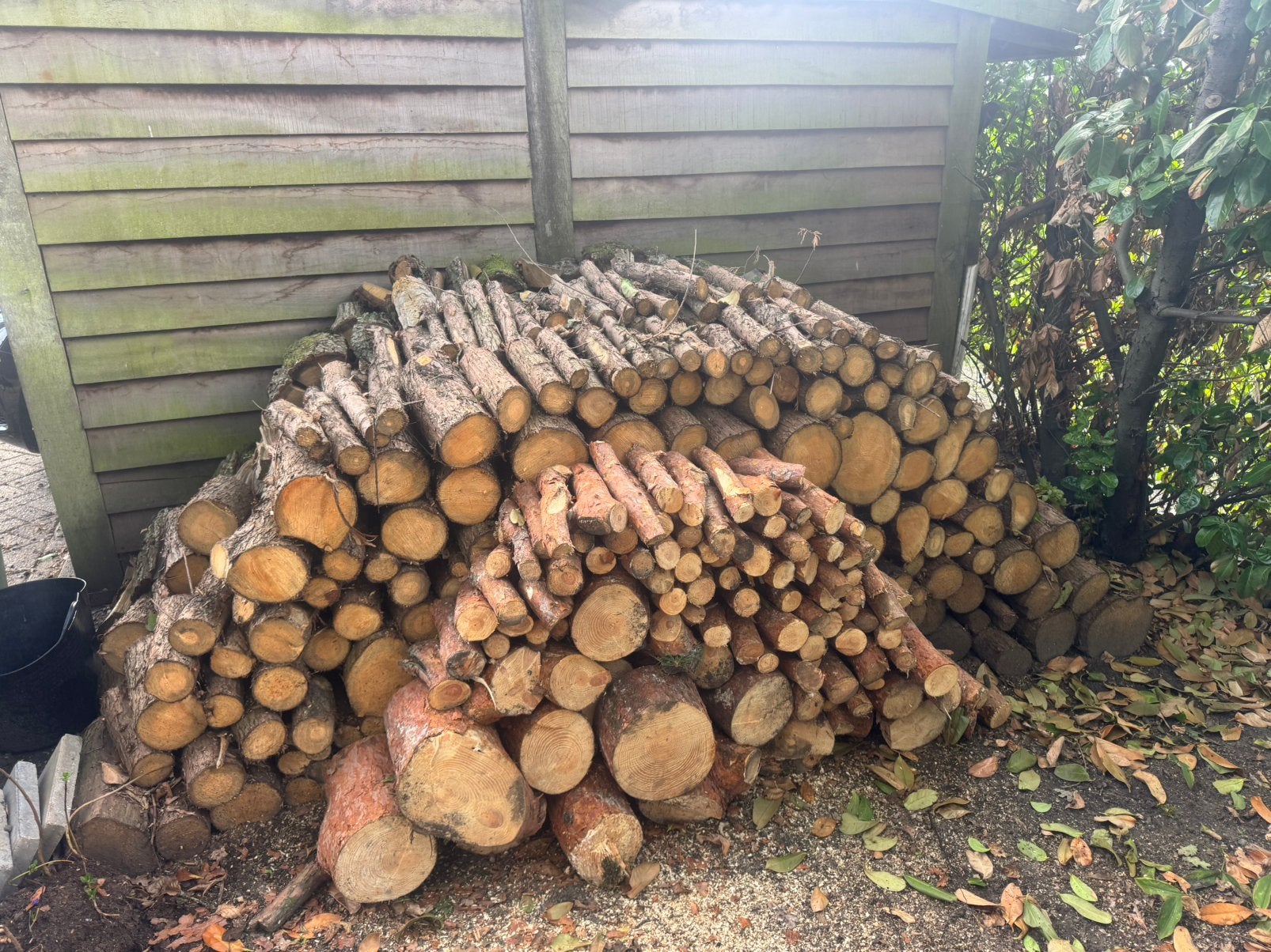Ruim 3 kuub haardhout eik thuja en beetje grove den, 3 tot 6 m³, Ophalen, Eikenhout, Blokken