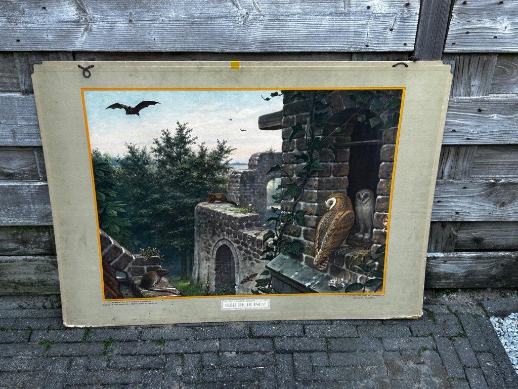 Bij de ruine, Ophalen of Verzenden, Natuur en Biologie