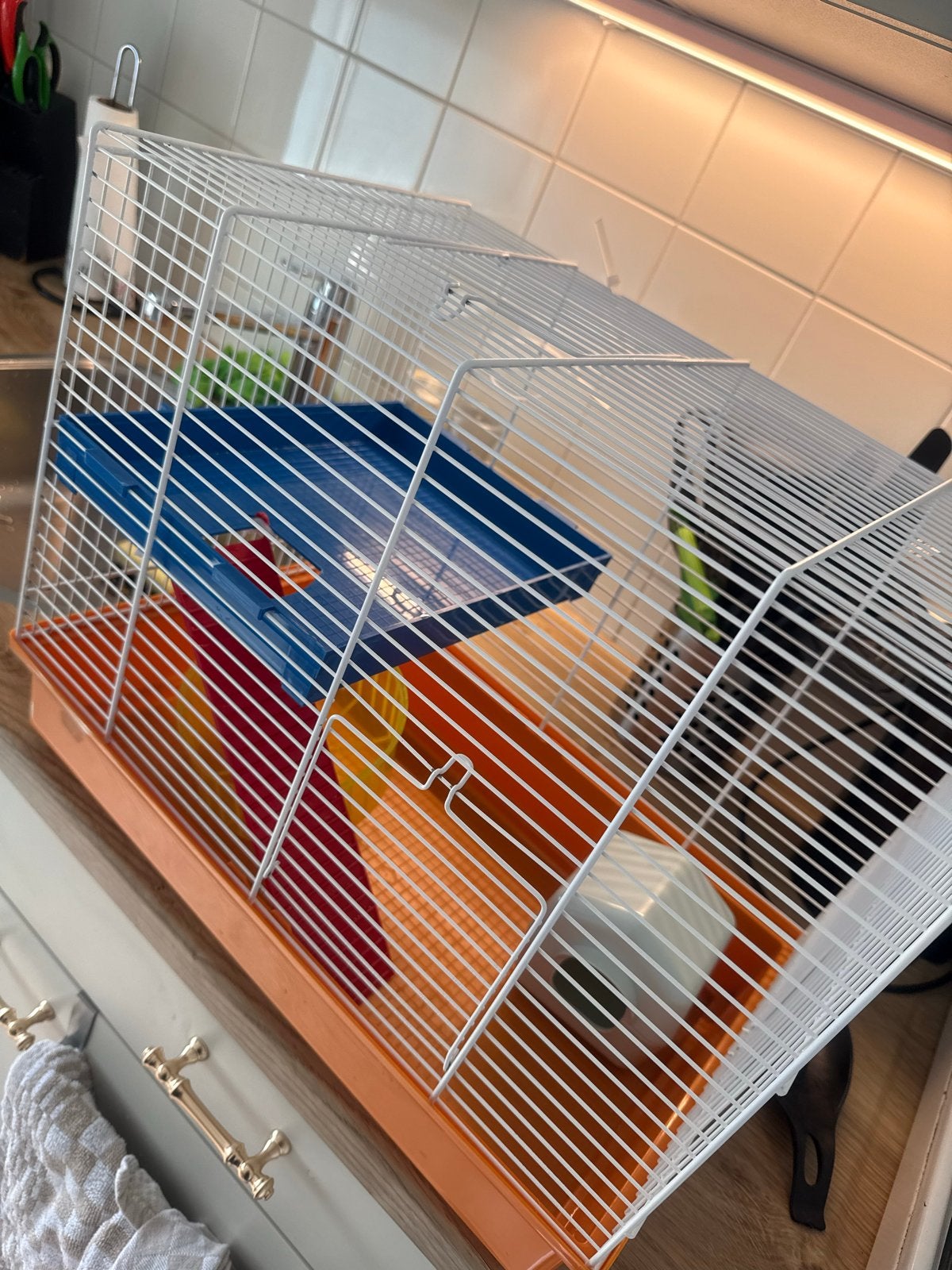 Hamster/muizen kooi, Ophalen