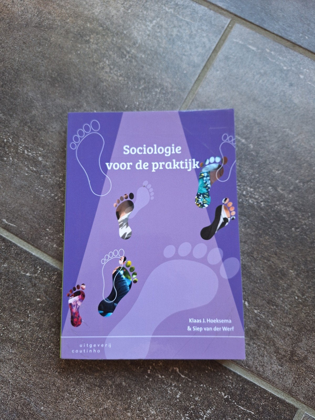 Sociologie voor de praktijk - Studieboek HBO/WO, Ophalen of Verzenden, Zo goed als nieuw, HBO, Klaas Hoeksma & Siep van der Werf