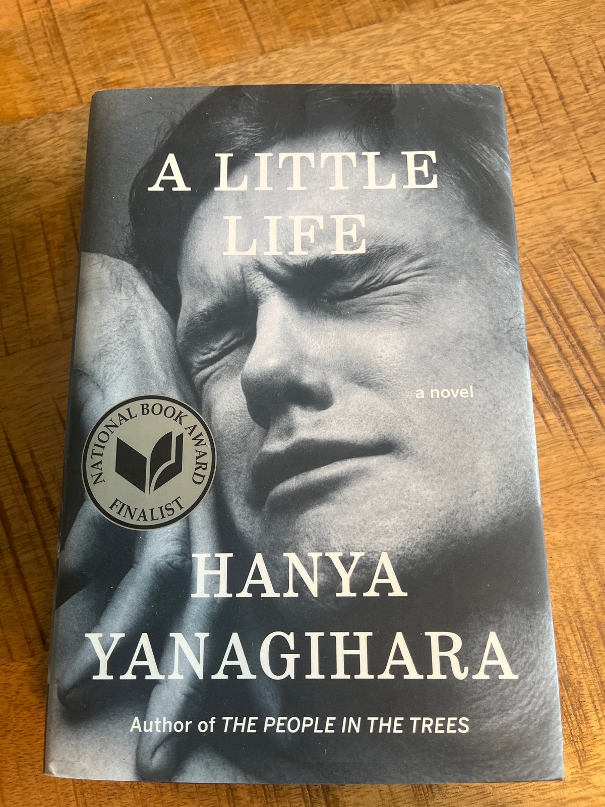 A Little Life - Hanya Yanagihara (Engels), Boeken, Ophalen of Verzenden, Zo goed als nieuw, Amerika