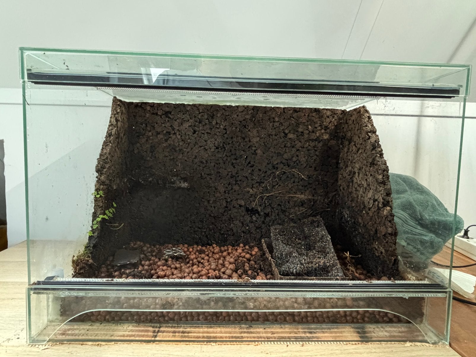 Terrarium 60x40x40, Ophalen, Gebruikt, Terrarium of Paludarium