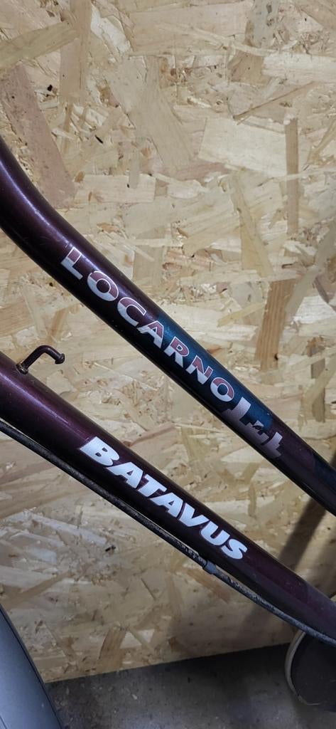 Batavus Locarno Damesfiets met fietstassen, Ophalen, Terugtraprem, Batavus, 53 tot 56 cm