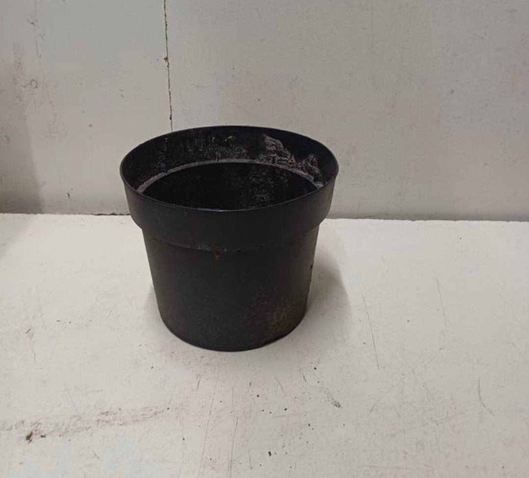 Kweekpotten plantenpotten bloempotten 18 cm, Tuin en Terras, Bloempotten, Kunststof, Gebruikt, Rond, Ophalen of Verzenden