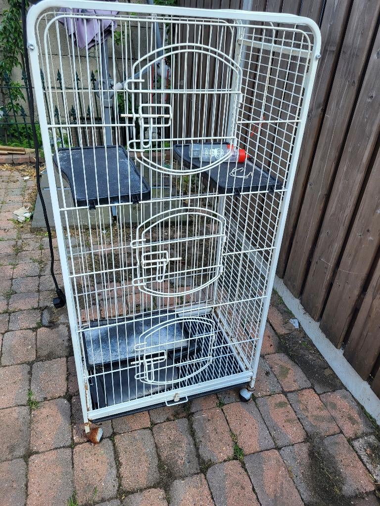 Kooi voor chinchillas  fretten  of andere  knaag dieren, Ophalen, Gebruikt